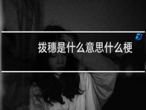 拨穗是什么意思什么梗