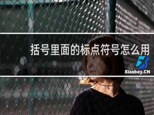 括号里面的标点符号怎么用