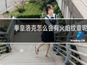 拳皇洛克怎么会有火焰纹章呢