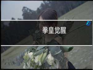 拳皇觉醒
