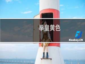 拳皇黄色