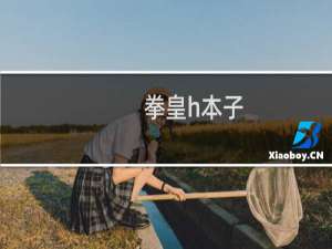 拳皇h本子