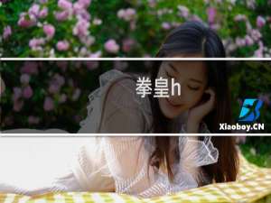 拳皇h