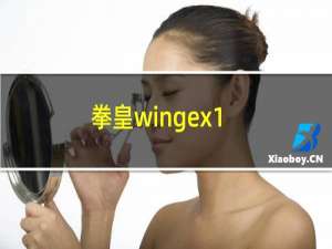 拳皇wingex1.2