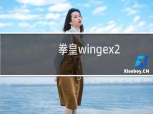 拳皇wingex2.0