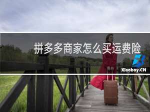 拼多多商家怎么买运费险