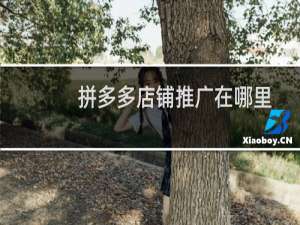 拼多多店铺推广在哪里