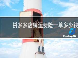 拼多多店铺运费险一单多少钱