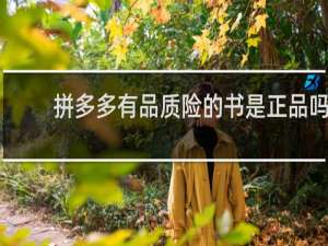 拼多多有品质险的书是正品吗