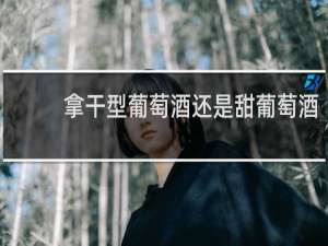 拿干型葡萄酒还是甜葡萄酒