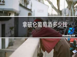 拿破仑葡萄酒多少钱