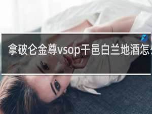 拿破仑金尊vsop干邑白兰地酒怎么样