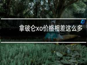 拿破仑xo价格相差这么多