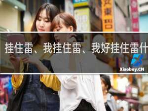 挂住雷、我挂住雷、我好挂住雷什么梗