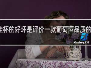 挂杯的好坏是评价一款葡萄酒品质的标准吗