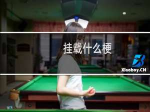 挂载什么梗