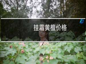 挂霜黄檀价格