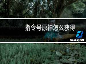 指令号原神怎么获得