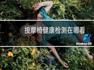按摩椅健康检测在哪看