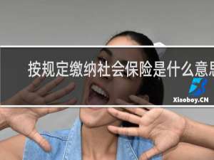 按规定缴纳社会保险是什么意思