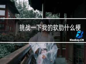 挑战一下我的软肋什么梗
