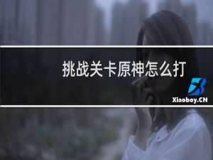 挑战关卡原神怎么打
