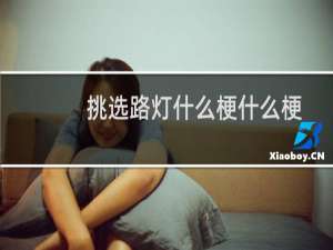 挑选路灯什么梗什么梗