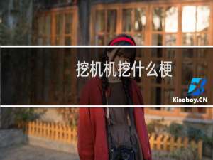 挖机机挖什么梗？什么梗