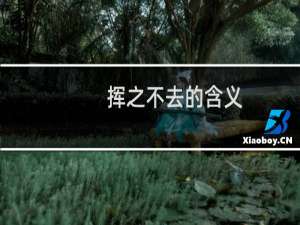 挥之不去的含义（挥之不去忘之不却是什么意思）