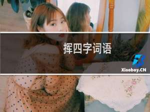 挥四字词语