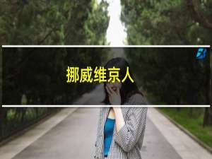 挪威维京人