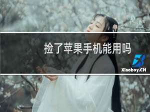 捡了苹果手机能用吗