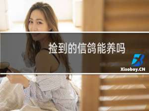 捡到的信鸽能养吗
