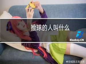 捡球的人叫什么