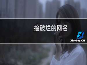 捡破烂的网名