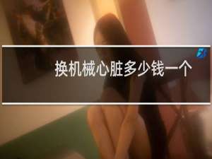 换机械心脏多少钱一个