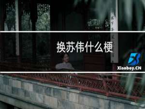 换苏伟什么梗