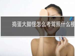 捣蛋大脚怪怎么考驾照什么梗