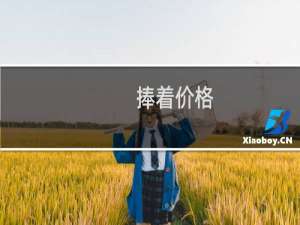 捧着价格