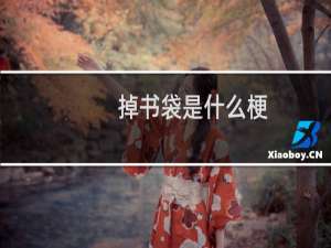 掉书袋是什么梗（掉书袋是什么意思）