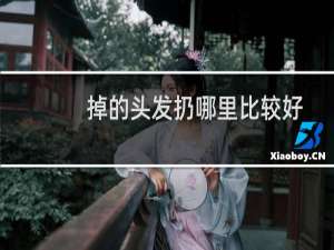 掉的头发扔哪里比较好