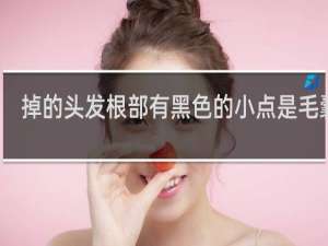掉的头发根部有黑色的小点是毛囊吗