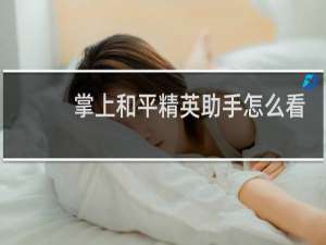 掌上和平精英助手怎么看好友战绩