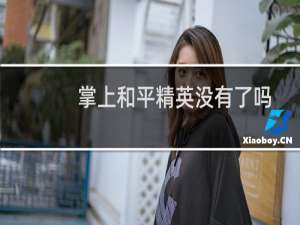 掌上和平精英没有了吗(掌上和平精英助手下载)