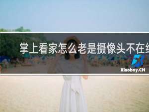 掌上看家怎么老是摄像头不在线