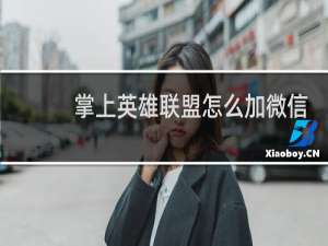 掌上英雄联盟怎么加微信好友