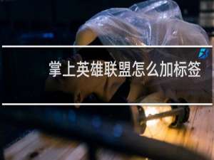 掌上英雄联盟怎么加标签