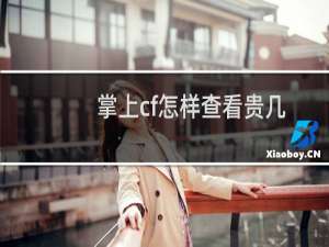 掌上cf怎样查看贵几
