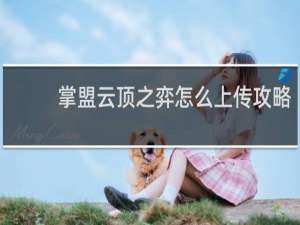 掌盟云顶之弈怎么上传攻略