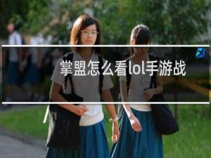 掌盟怎么看lol手游战绩
